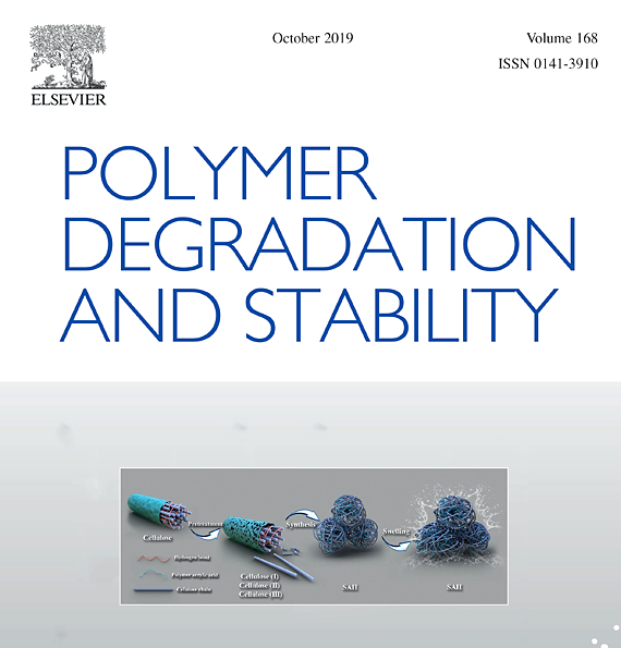 The conversion of polyaniline nanotubes to nitrogen-containing carbon nanotubes and their comparison with multi-walled carbon nanotubes