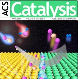 Atomically Thin Metal Films on Foreign Substrates: From Lattice Mismatch to Electrocatalytic Activity