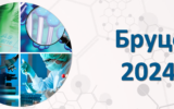 Бруцоши 2024/25.